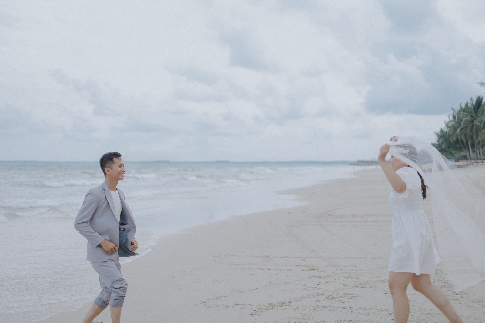 David & Novi 17