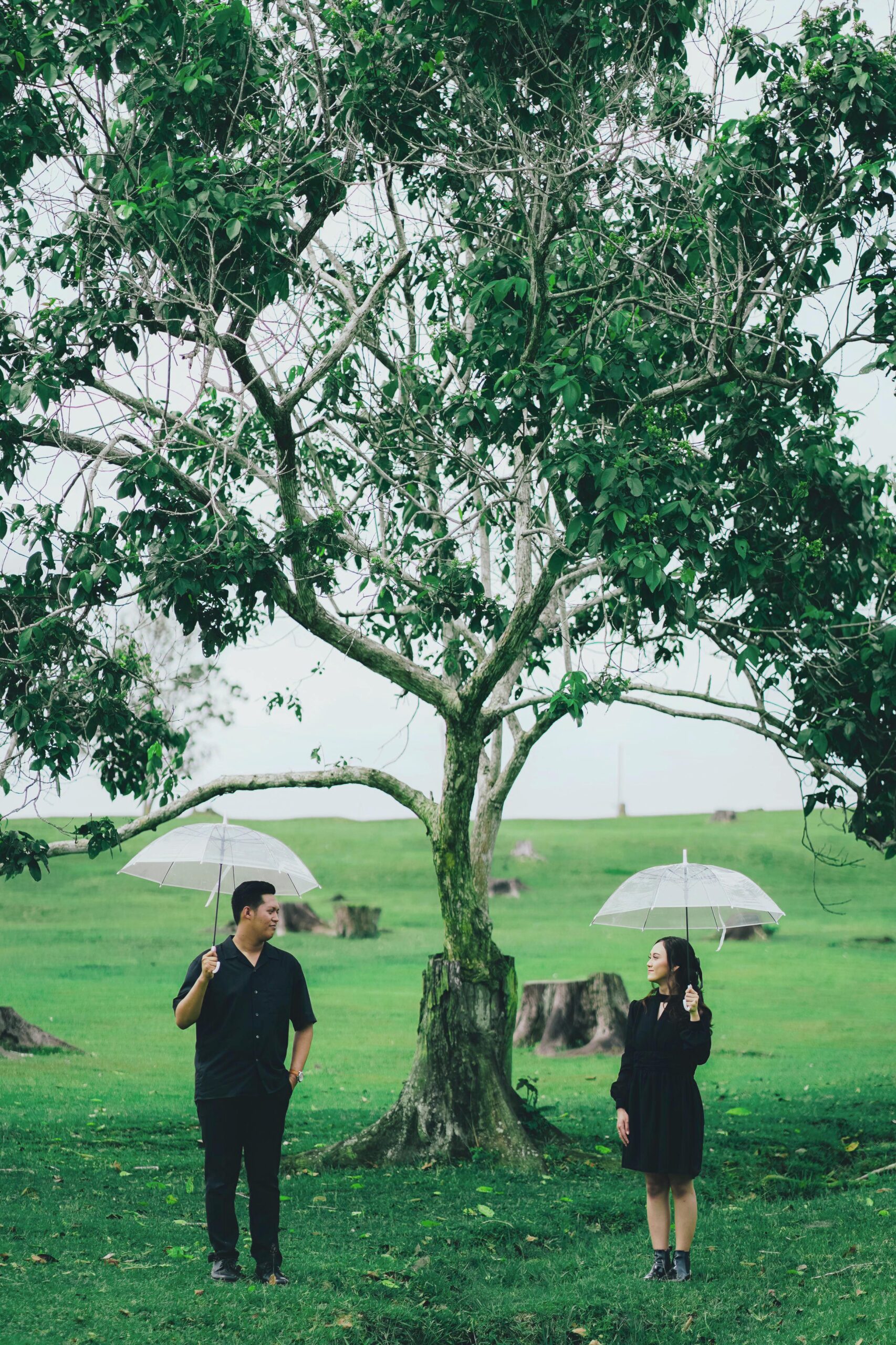 Ivan & Annur Revisi kedua 10