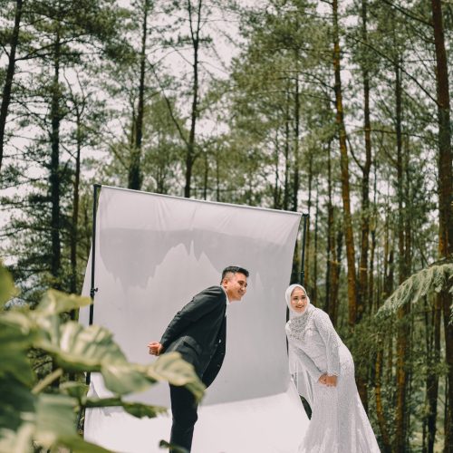 Atika & Dino 3