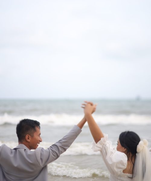 David & Novi 16