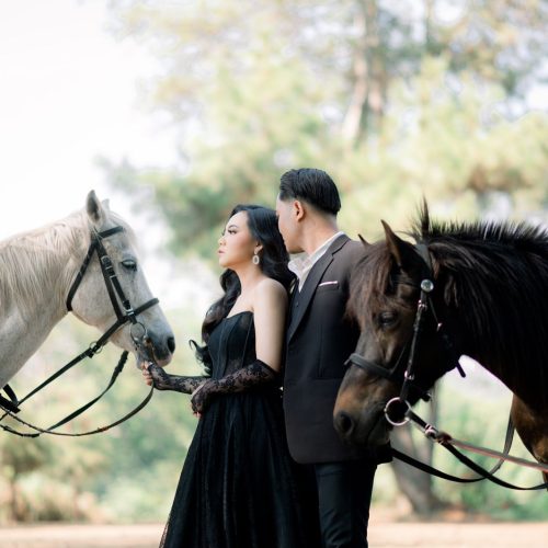 Maltaica & Ryanhuto 14