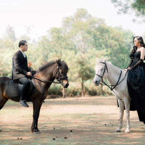Maltaica & Ryanhuto 19
